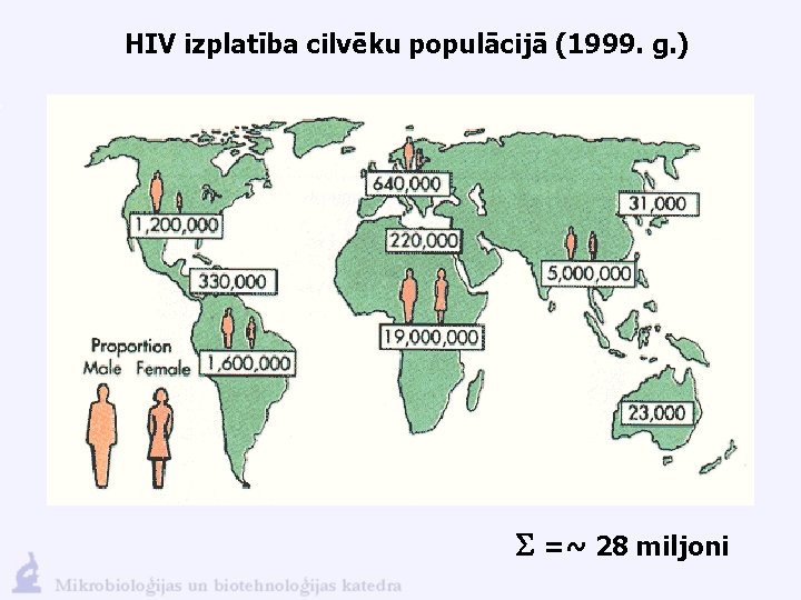 HIV izplatība cilvēku populācijā (1999. g. ) S =~ 28 miljoni 