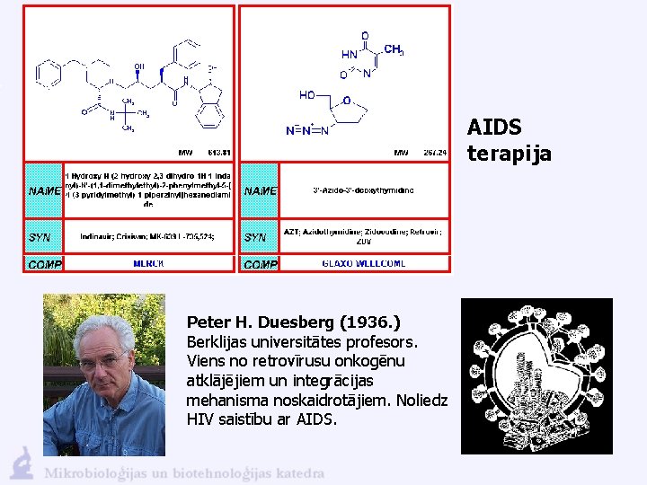 AIDS terapija Peter H. Duesberg (1936. ) Berklijas universitātes profesors. Viens no retrovīrusu onkogēnu