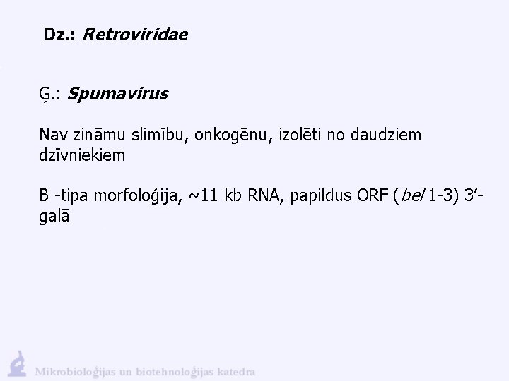 Dz. : Retroviridae Ģ. : Spumavirus Nav zināmu slimību, onkogēnu, izolēti no daudziem dzīvniekiem