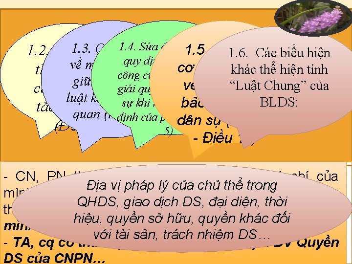 1. 4. thể Sửa đổi, bổ sung. Bổ sung 1. 3. QĐ cụ 1.