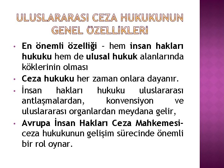  • • En önemli özelliği – hem insan hakları hukuku hem de ulusal