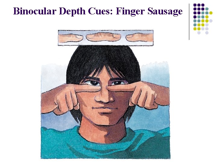 Binocular Depth Cues: Finger Sausage 