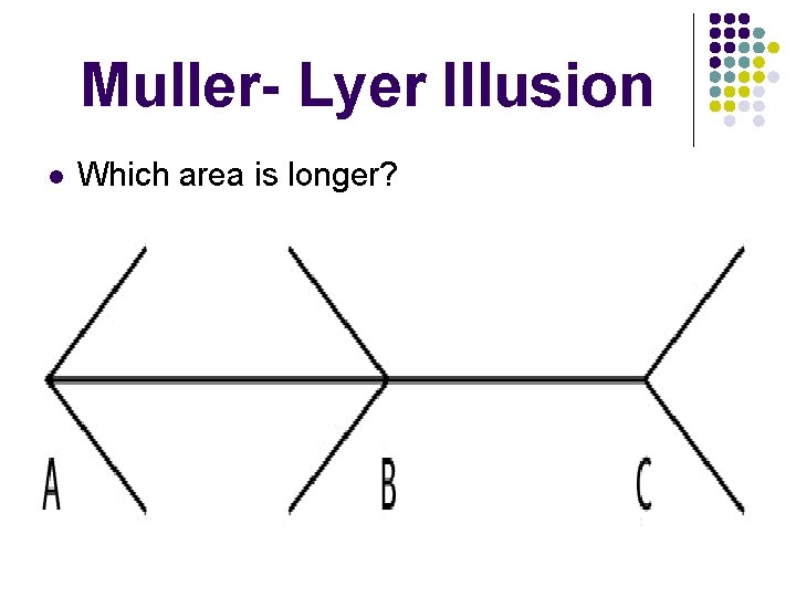 Muller- Lyer Illusion l Which area is longer? 