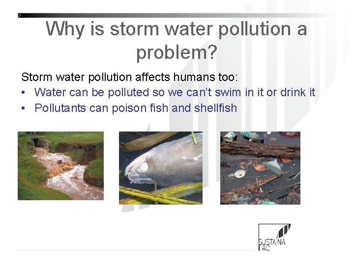 Why is storm water pollution a problem? Storm water pollution affects humans too: •