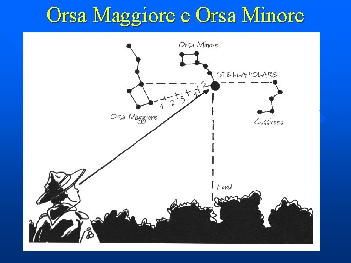 Orsa Maggiore e Orsa Minore 