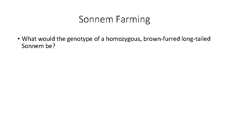 Sonnem Farming • What would the genotype of a homozygous, brown-furred long-tailed Sonnem be?