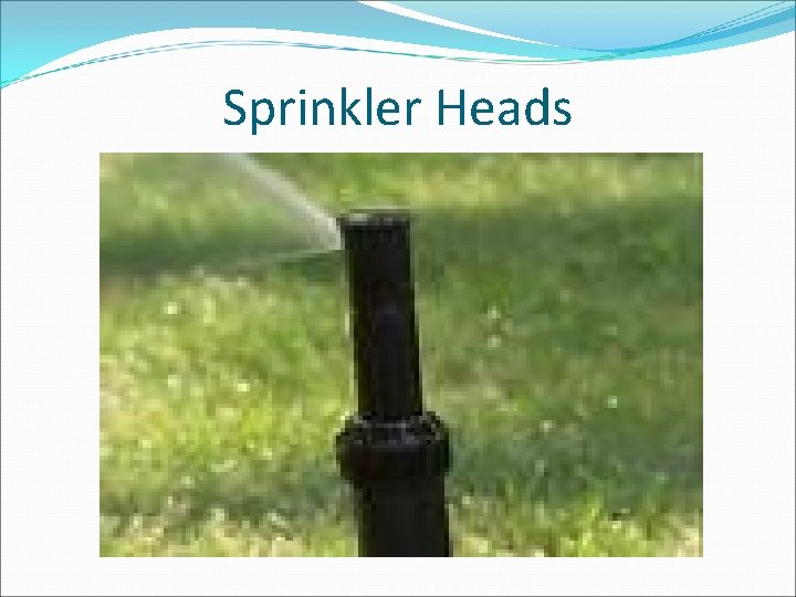 Sprinkler Heads 