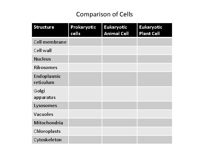 Comparison of Cells Structure Cell membrane Cell wall Nucleus Ribosomes Endoplasmic reticulum Golgi apparatus