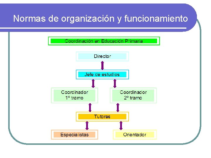 Normas de organización y funcionamiento 