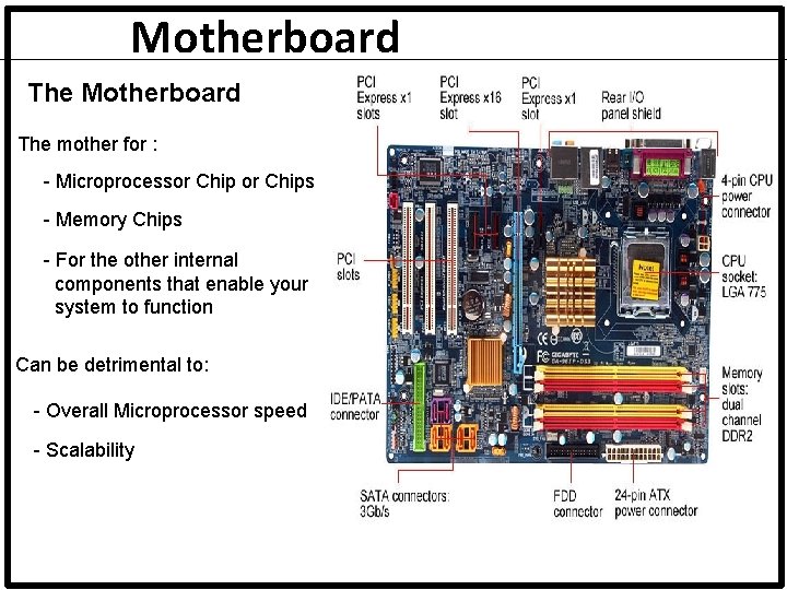 Motherboard The mother for : - Microprocessor Chips - Memory Chips - For the