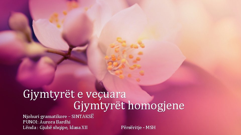 Gjymtyrët e veçuara Gjymtyrët homogjene Njohuri gramatikore – SINTAKSË PUNOI: Aurora Bardhi Lënda :