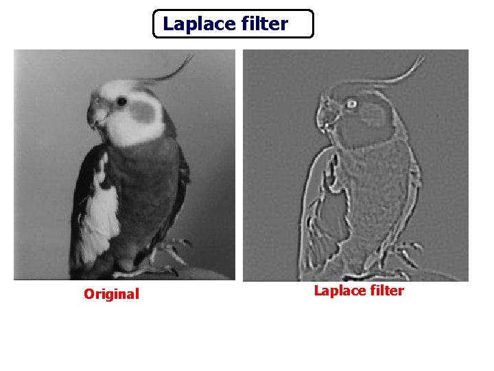 Laplace filter Original Laplace filter 