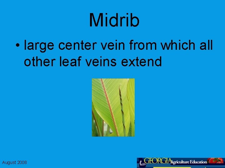 Parts of the plant and their functions August