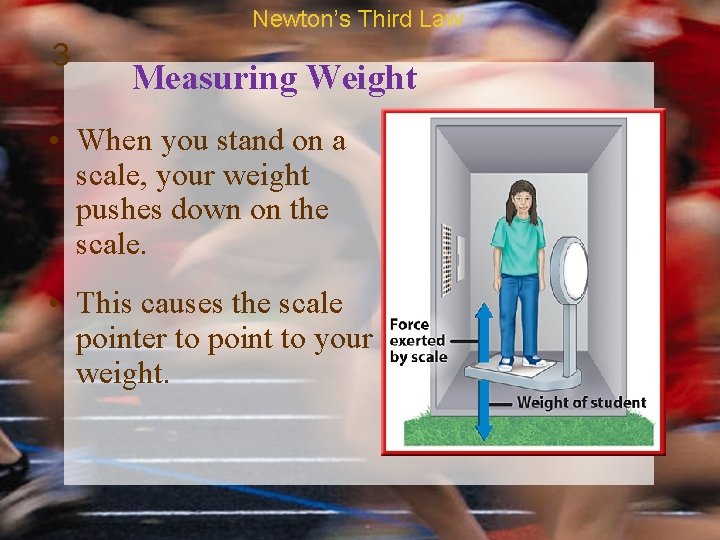 Newton’s Third Law 3 Measuring Weight • When you stand on a scale, your