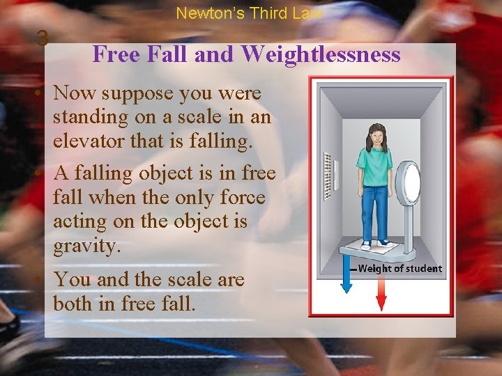 Newton’s Third Law 3 Free Fall and Weightlessness • Now suppose you were standing