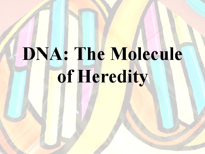 DNA: The Molecule of Heredity 