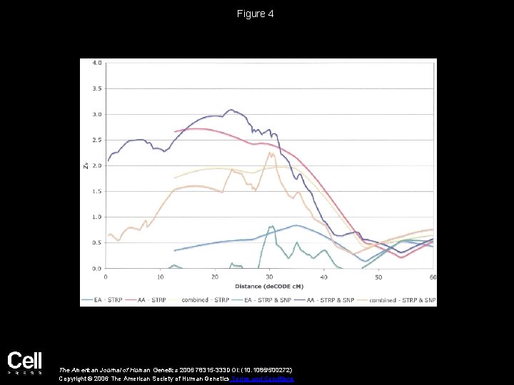 Figure 4 The American Journal of Human Genetics 2006 78315 -333 DOI: (10. 1086/500272)