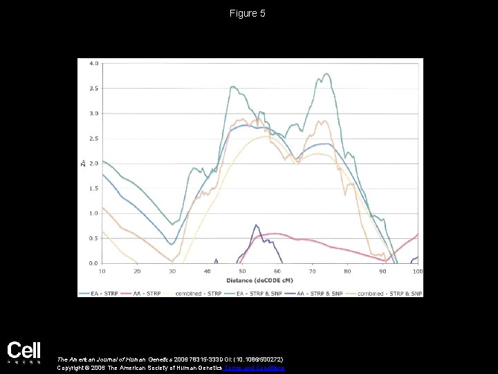 Figure 5 The American Journal of Human Genetics 2006 78315 -333 DOI: (10. 1086/500272)