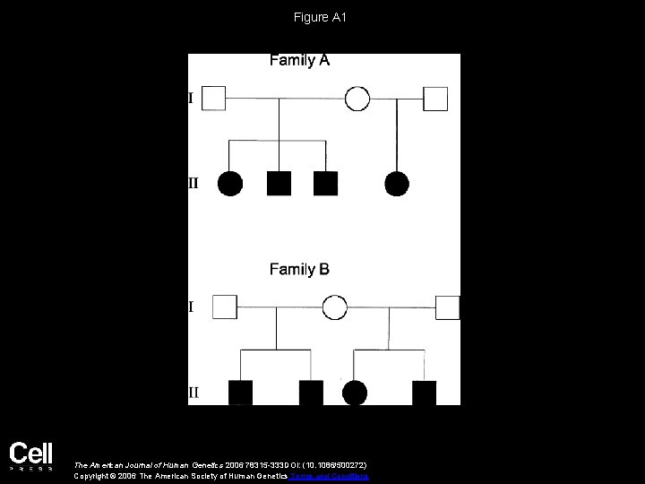 Figure A 1 The American Journal of Human Genetics 2006 78315 -333 DOI: (10.