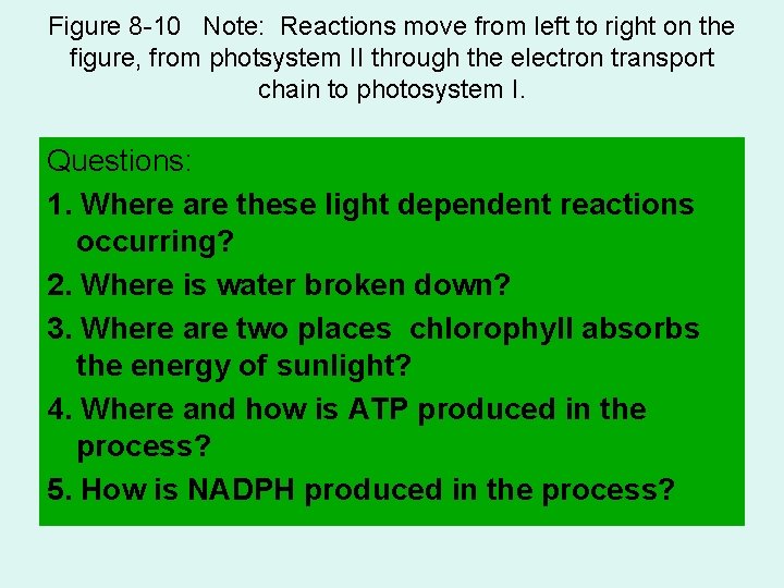 Figure 8 -10 Note: Reactions move from left to right on the figure, from