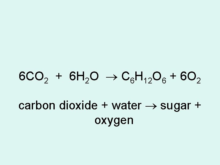 6 CO 2 + 6 H 2 O C 6 H 12 O 6