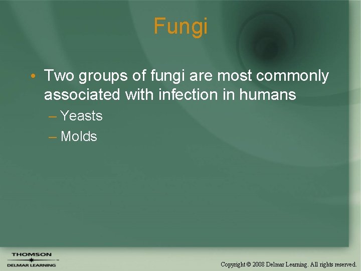 Fungi • Two groups of fungi are most commonly associated with infection in humans