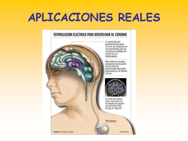 APLICACIONES REALES 