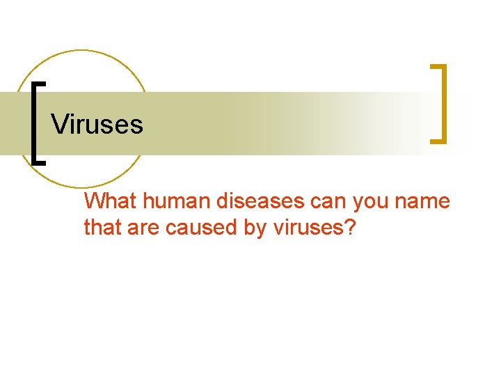 Viruses What human diseases can you name that are caused by viruses? 