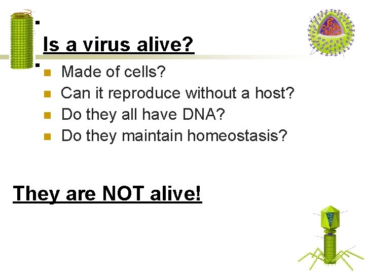 Is a virus alive? n n Made of cells? Can it reproduce without a