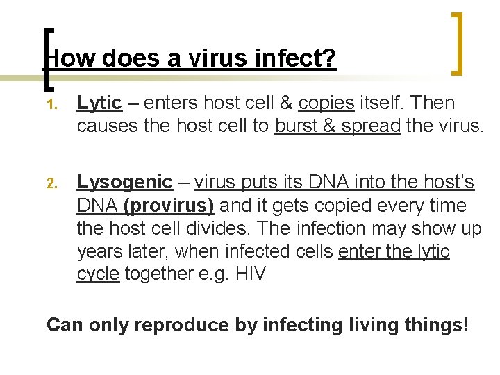 How does a virus infect? 1. Lytic – enters host cell & copies itself.