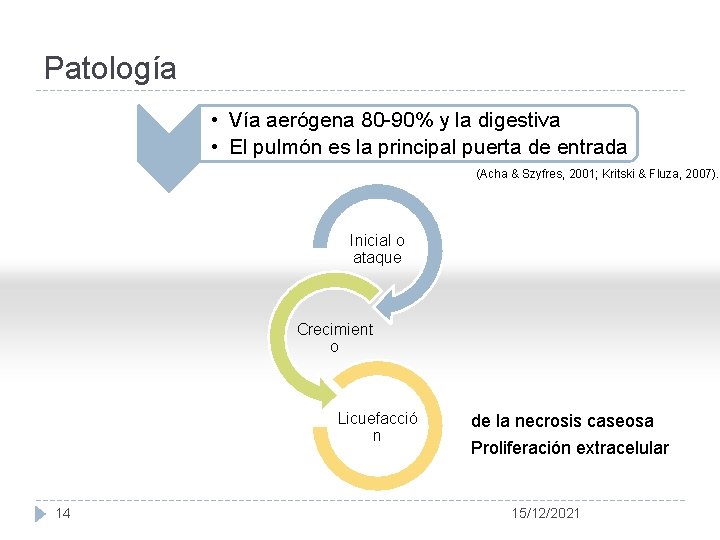 Patología • Vía aerógena 80 -90% y la digestiva • El pulmón es la