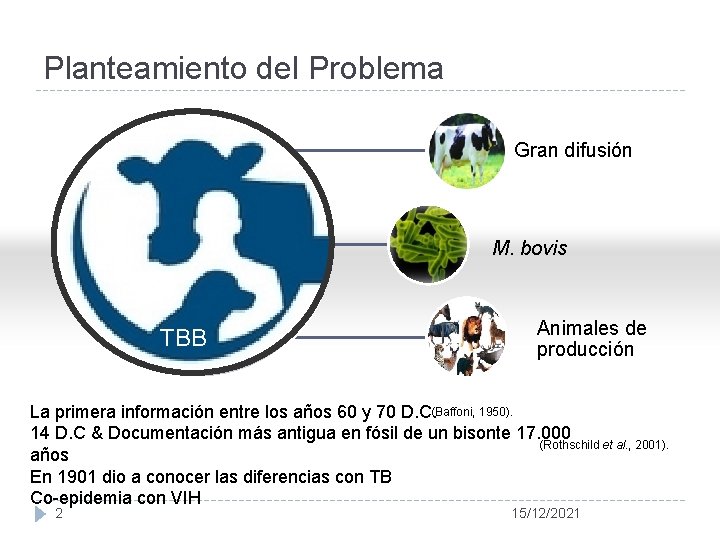 Planteamiento del Problema Gran difusión M. bovis xc TBB Animales de producción La primera