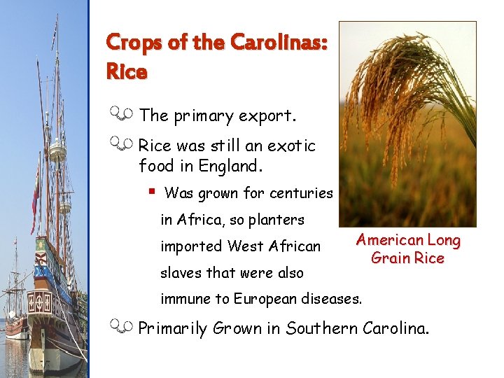 Crops of the Carolinas: Rice The primary export. Rice was still an exotic food