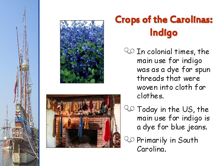 Crops of the Carolinas: Indigo In colonial times, the main use for indigo was