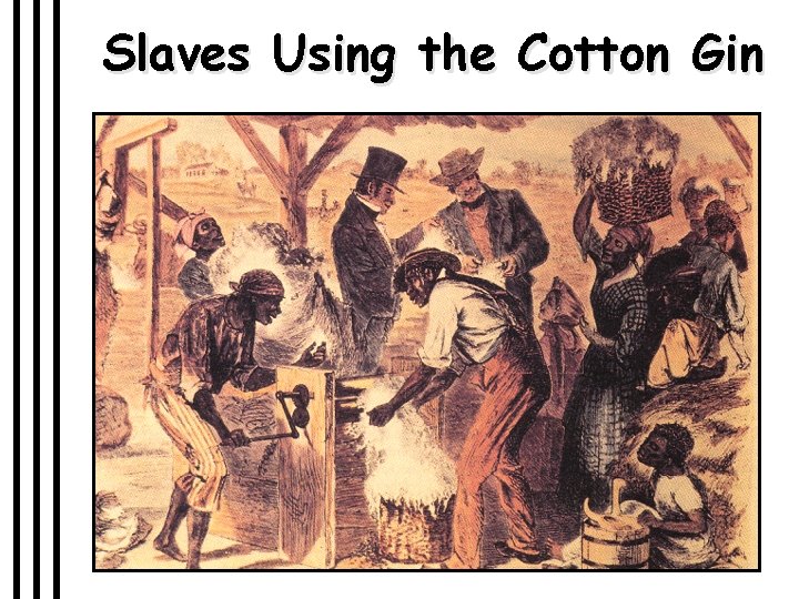 Slaves Using the Cotton Gin 