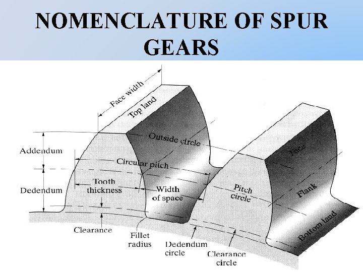 NOMENCLATURE OF SPUR GEARS 