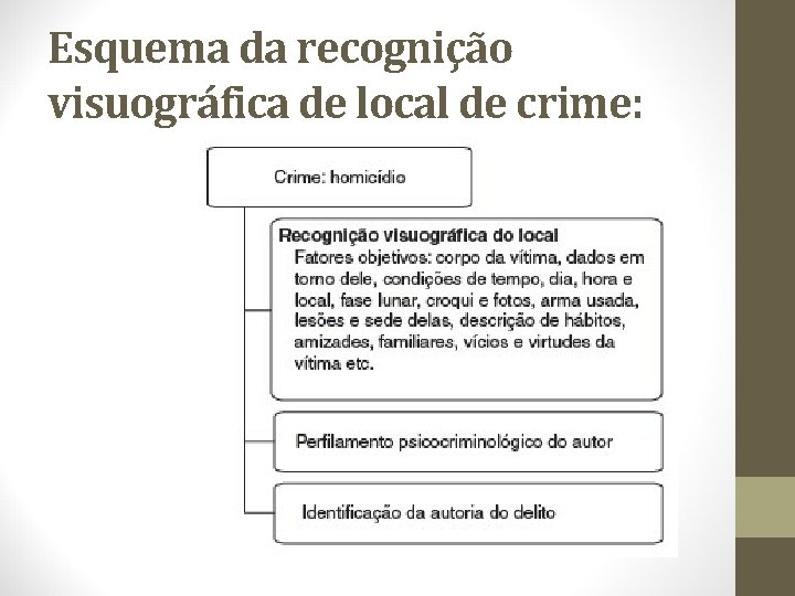 Esquema da recognição visuográfica de local de crime: 
