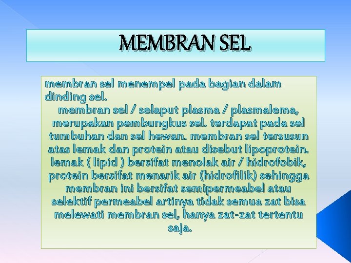 MEMBRAN SEL membran sel menempel pada bagian dalam dinding sel. membran sel / selaput