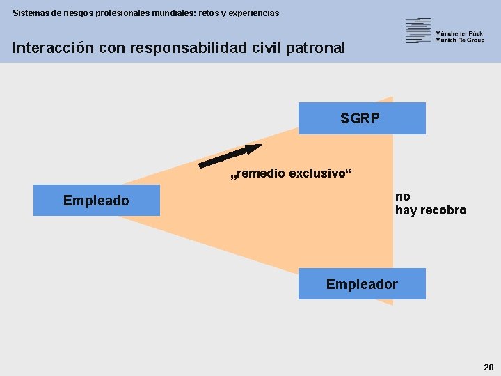 Sistemas de riesgos profesionales mundiales: retos y experiencias Interacción con responsabilidad civil patronal SGRP