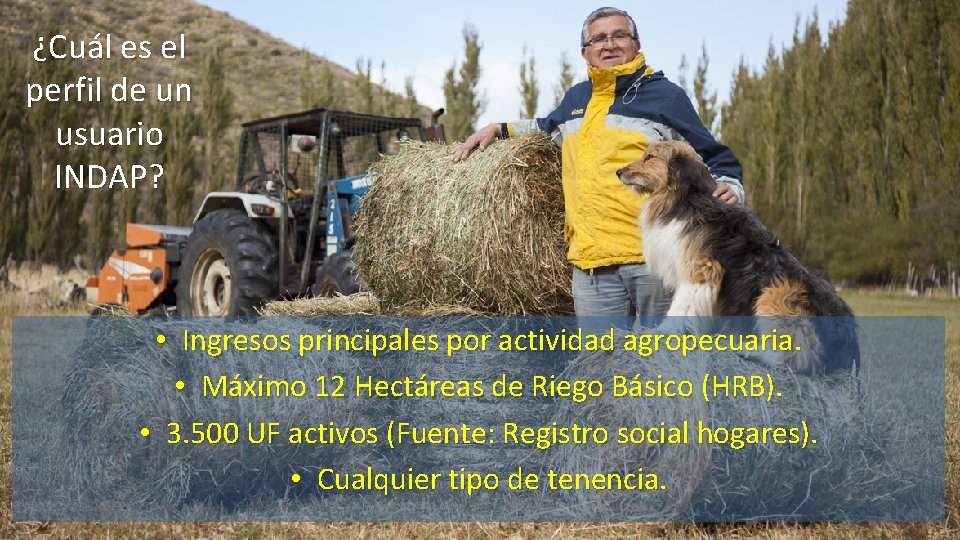 ¿Cuál es el perfil de un usuario INDAP? • Ingresos principales por actividad agropecuaria.