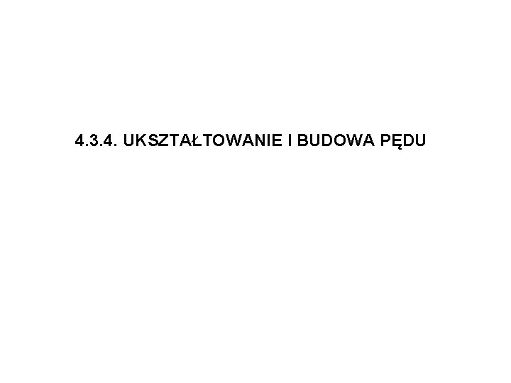 4. 3. 4. UKSZTAŁTOWANIE I BUDOWA PĘDU 