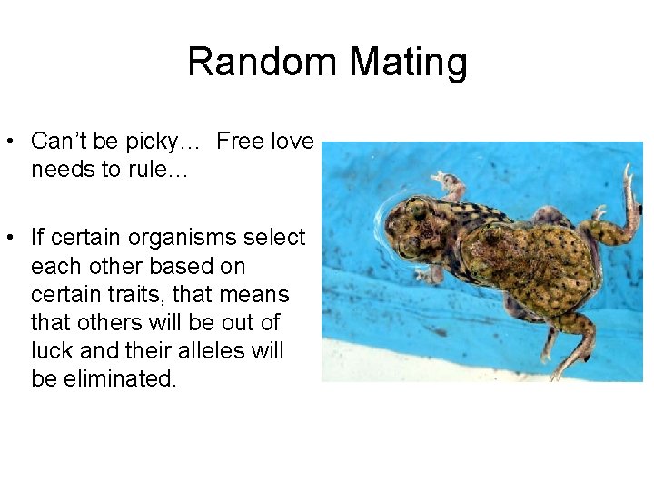 Random Mating • Can’t be picky… Free love needs to rule… • If certain