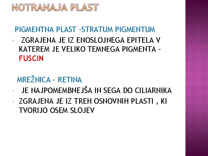 PIGMENTNA PLAST –STRATUM PIGMENTUM ZGRAJENA JE IZ ENOSLOJNEGA EPITELA V KATEREM JE VELIKO TEMNEGA