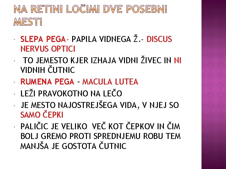  SLEPA PEGA- PAPILA VIDNEGA Ž. - DISCUS NERVUS OPTICI TO JEMESTO KJER IZHAJA