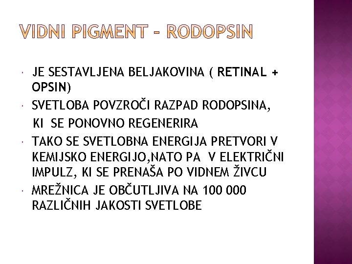  JE SESTAVLJENA BELJAKOVINA ( RETINAL + OPSIN) SVETLOBA POVZROČI RAZPAD RODOPSINA, KI SE