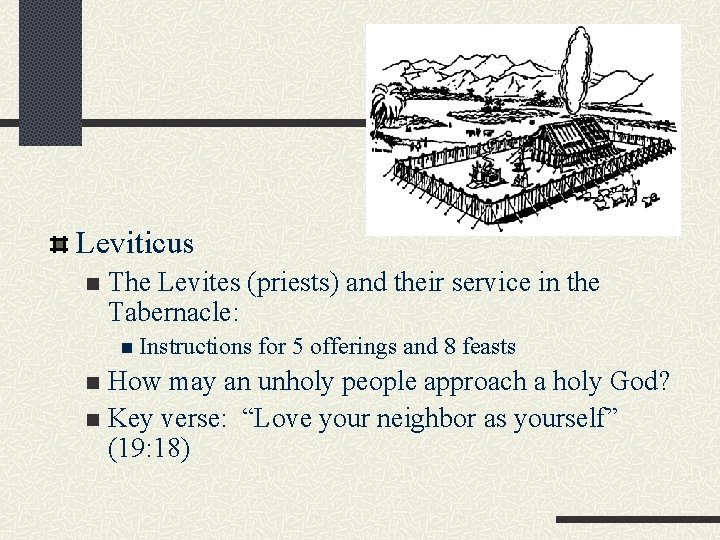 Leviticus n The Levites (priests) and their service in the Tabernacle: n Instructions for