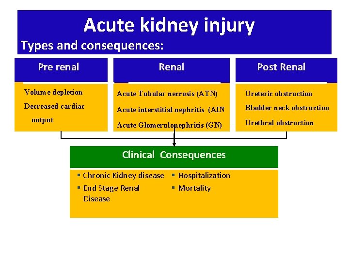 Acute kidney injury Types and consequences: Pre renal Renal Post Renal Volume depletion Acute