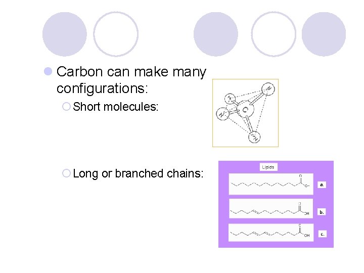 l Carbon can make many configurations: ¡ Short molecules: ¡ Long or branched chains: