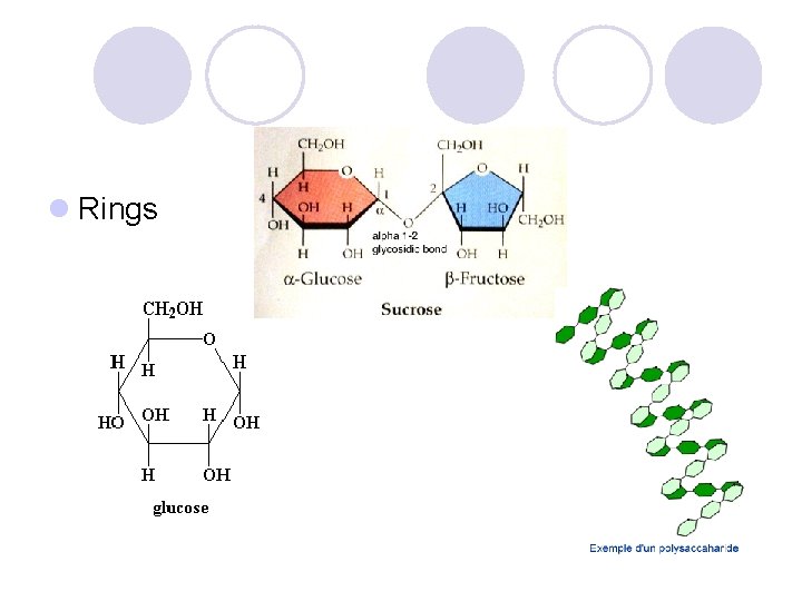 l Rings 