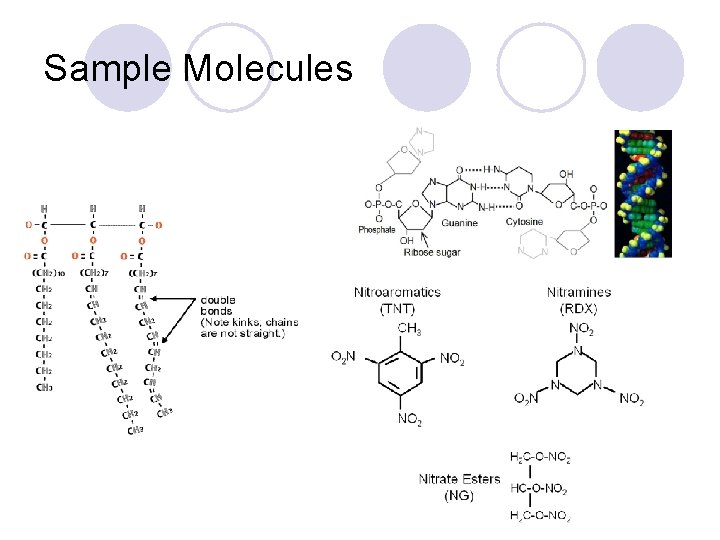 Sample Molecules 